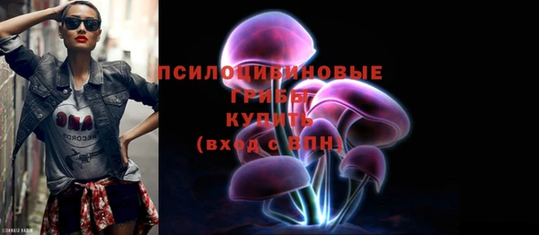 ECSTASY Алексин